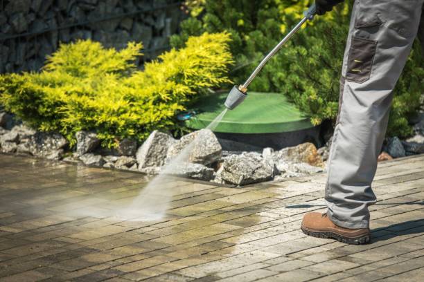 Best Winterizing Services  in Kermit, TX