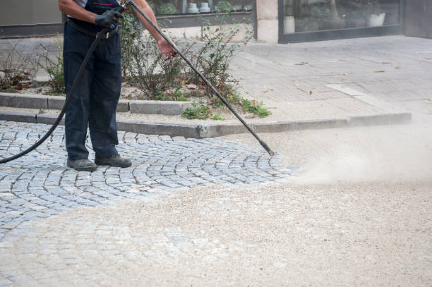 Best Driveway Pressure Washing  in Kermit, TX